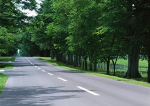 激安なのに真心のこもった車検に感動