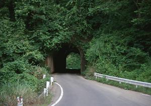 5層構造の高品質なボディーカバー