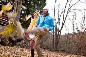 輸入車パーツ専門店PartsWeb八尾店の詳細と特徴|中古車・事故車買取やリビルトパーツも充実